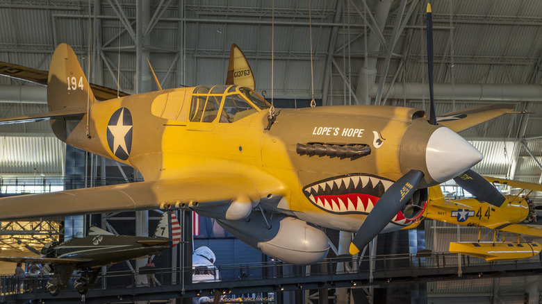 Static display P40 Warhawk