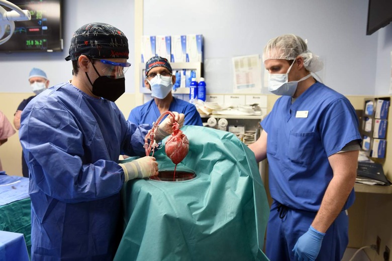 Terminally Ill U.S. Man Gets A Pig's Heart With A Successful Transplant