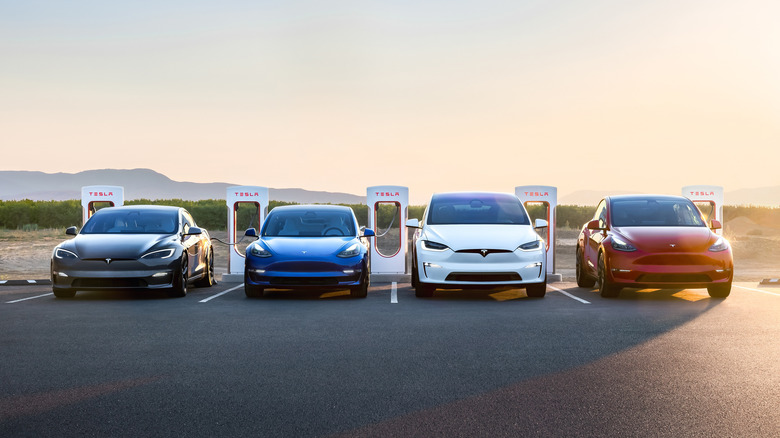 Tesla lineup with charging stations