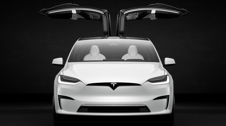 Tesla Model X doors ajar