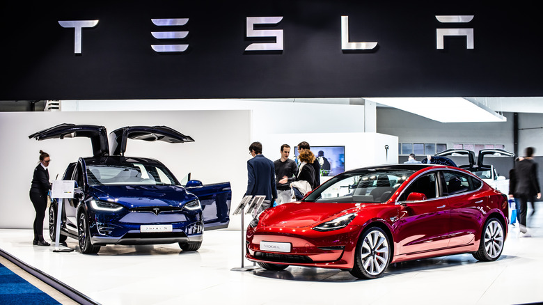 tesla models in showroom