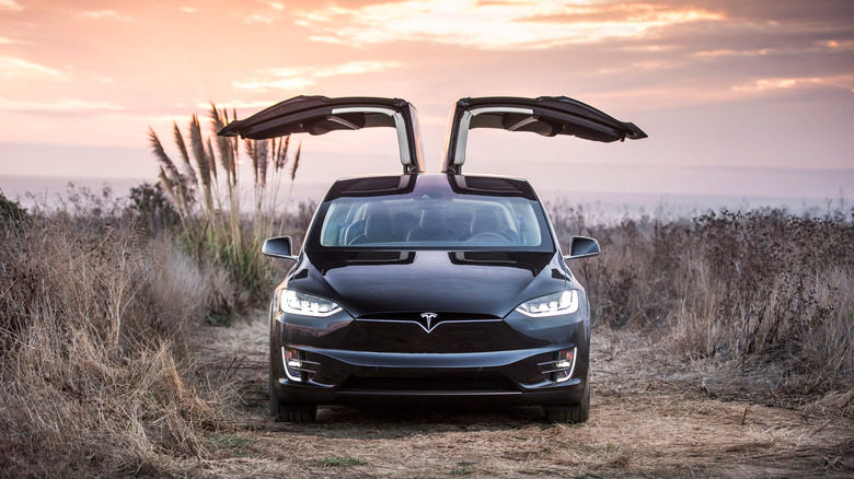 A Tesla Model X gullwing doors