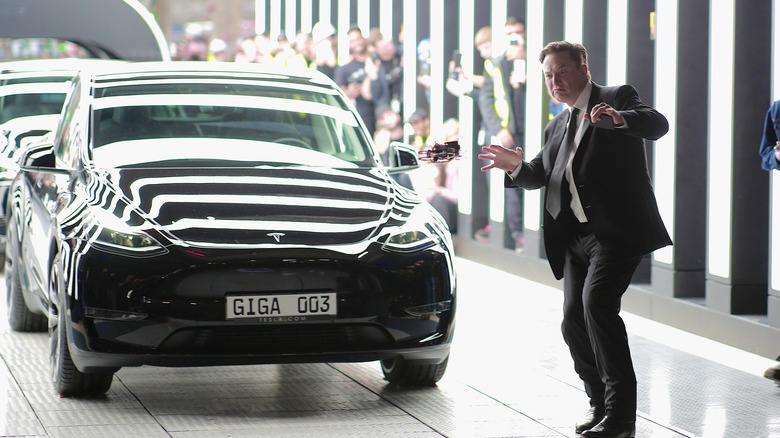 Elon Musk with a Tesla car.