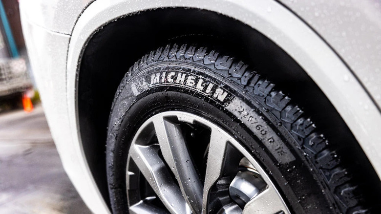 Michelin CrossClimate 2