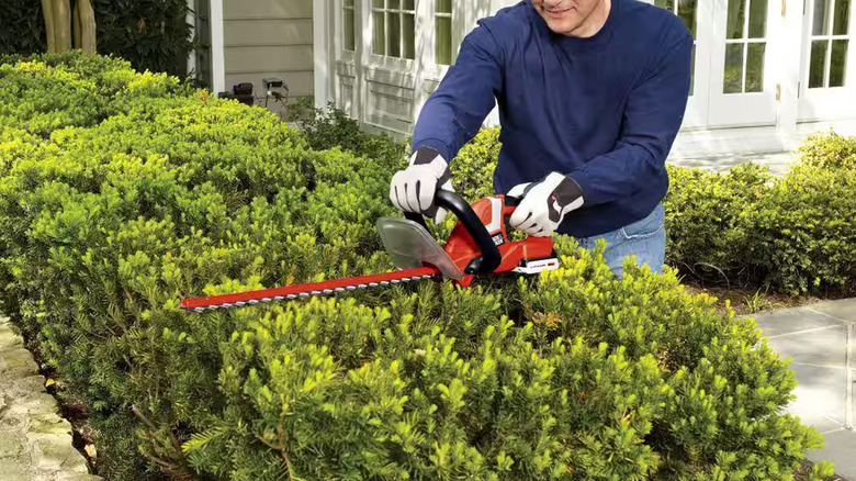 Black + Decker hedge trimmer