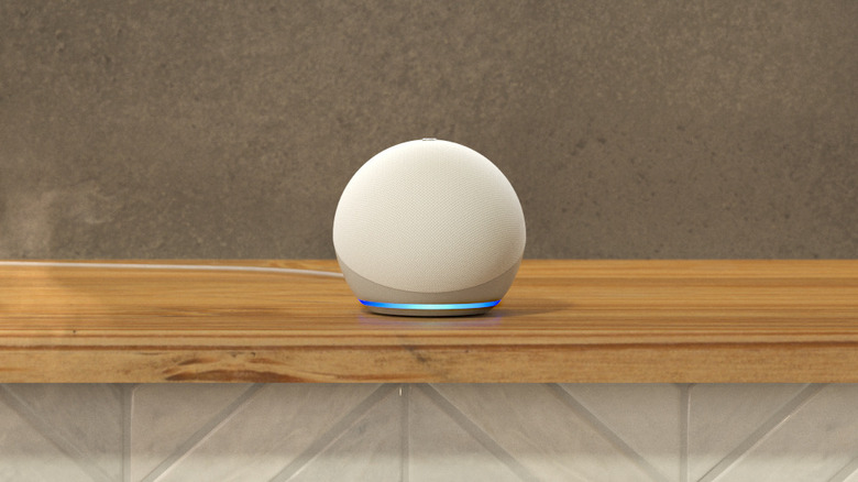 Amazon Echo Dot on kitchen shelf