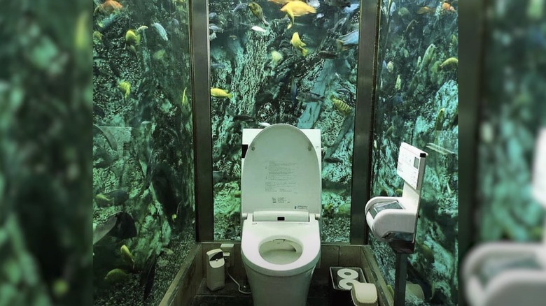 Aquarium toilet