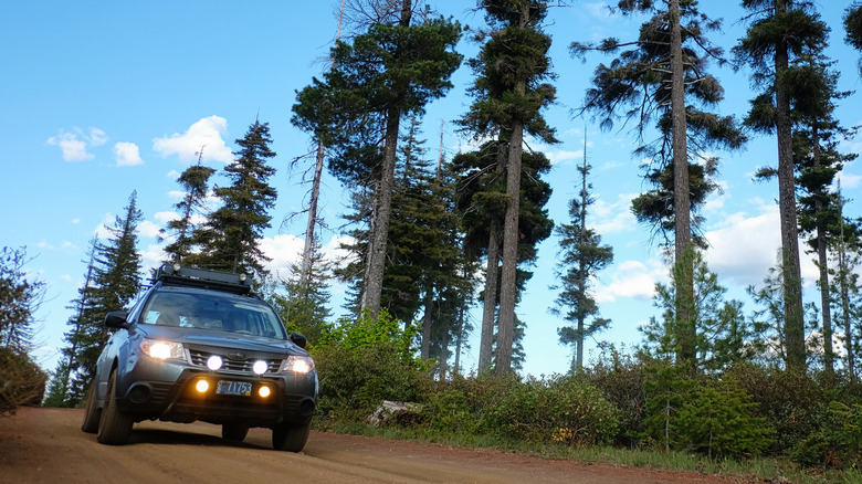 Subaru Forester driving thru forest