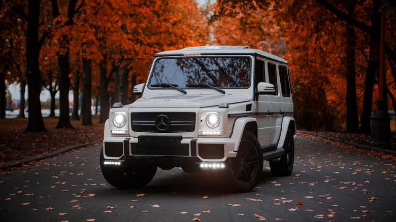 Mercedes-Benz G Class on a forest road