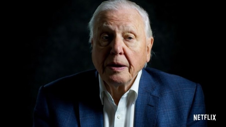  David Attenborough: A Life on Our Planet