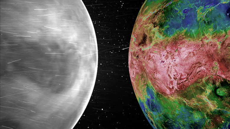 Parker Solar Probe images of Venus