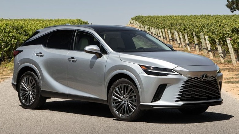 2023 Lexus RX 350h parked in vineyard