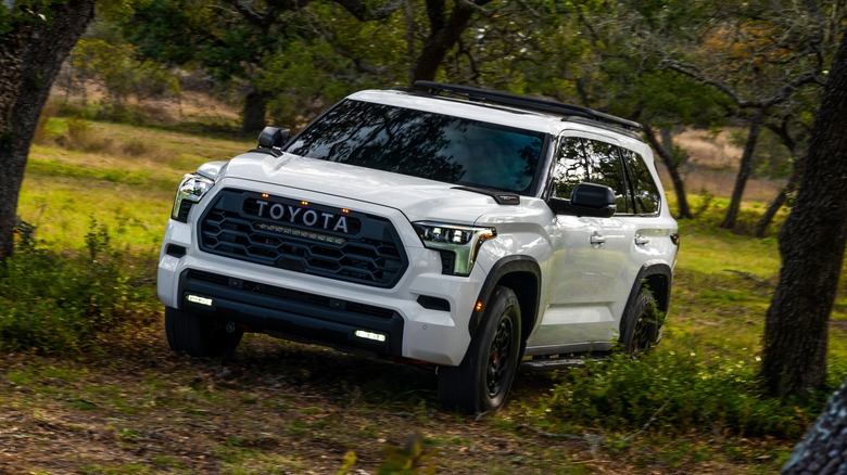 Toyota Sequoia TRD Pro in the woods