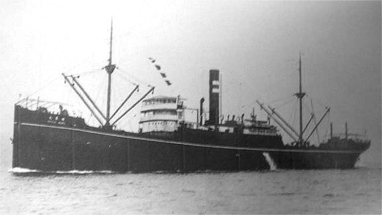 Ryusei Maru cargo ship