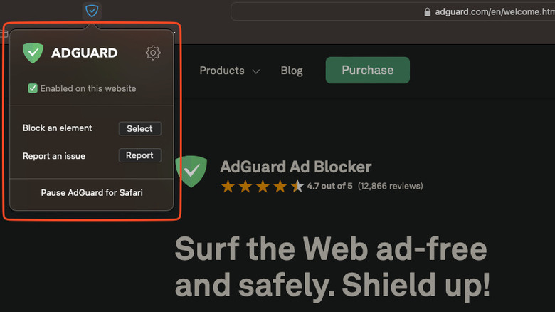 adguard extension in safari browser