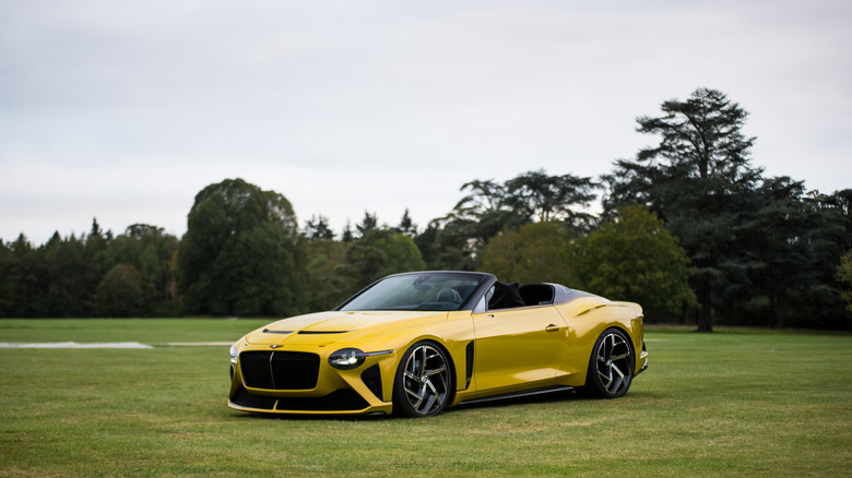 Bentley Mulliner Bacalar on grass