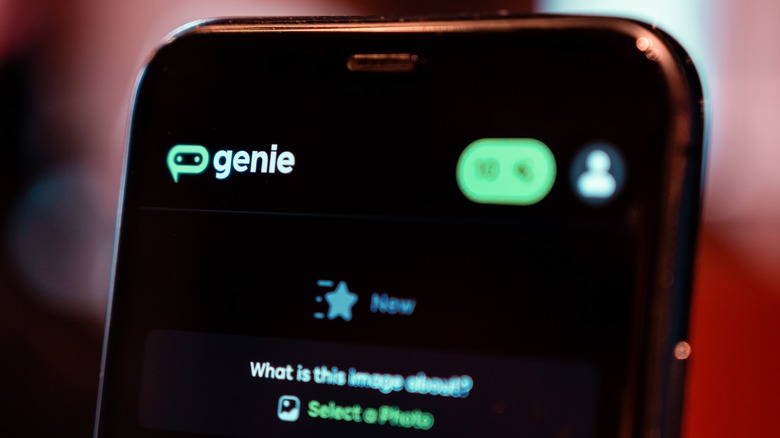 Screenshot of Genie App