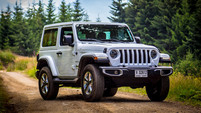 White Jeep Wrangler in woods