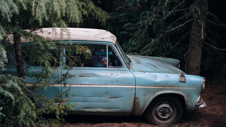 car from Harry Potter in a tree