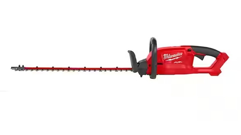 Hedge trimmer against white background