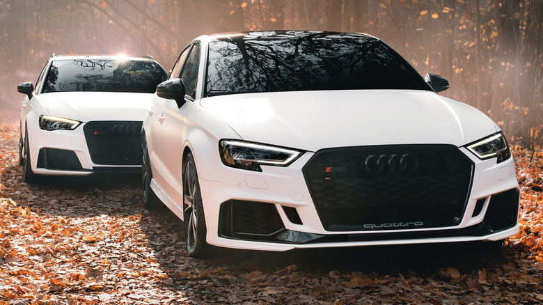 two Audi RS3s in forest
