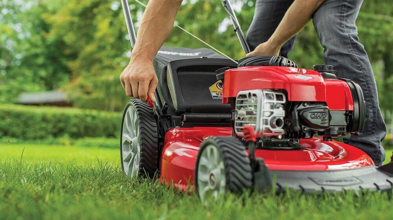 Troy-Bilt TB110 push mower