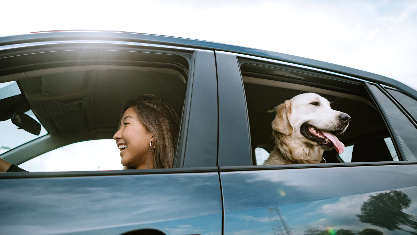 The Bathroom Staple That’s The Secret To Removing Pet Hair In Your Car