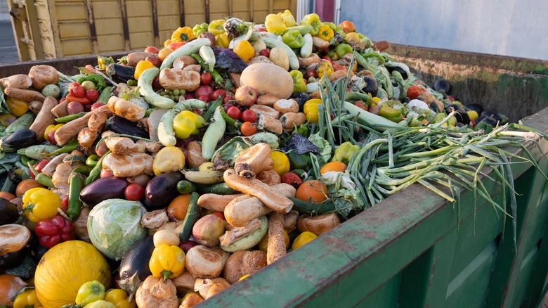 food produce in garbage 