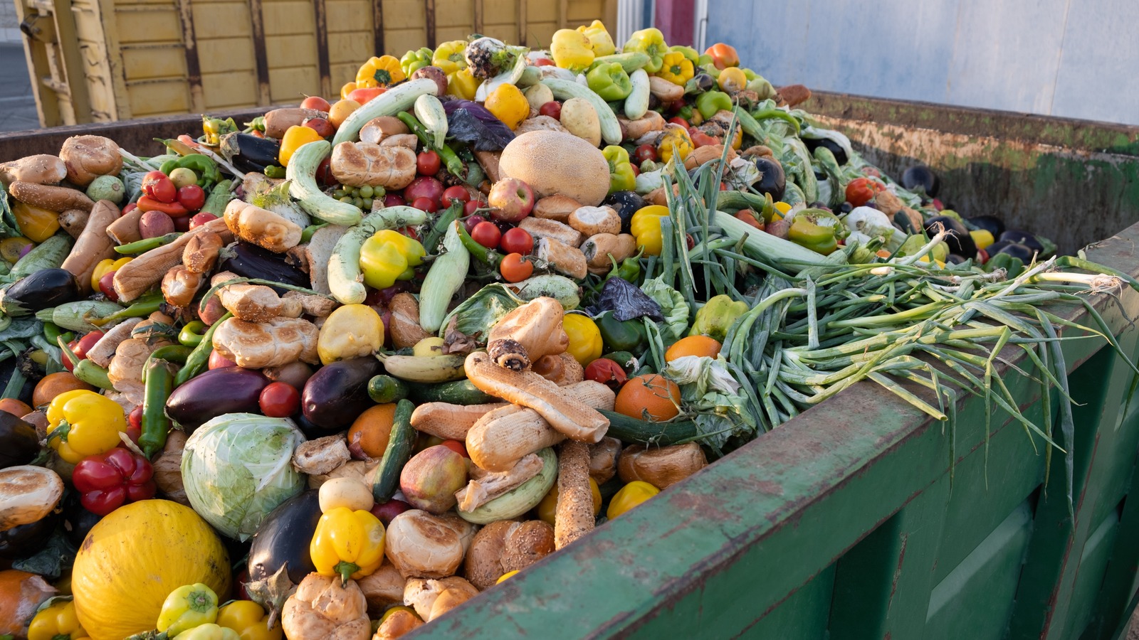 6 Top-notch Food Waste Apps to Save Money and the Environment