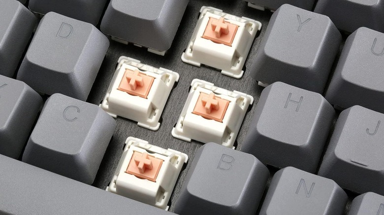 Holy Pandas in a keyboard.