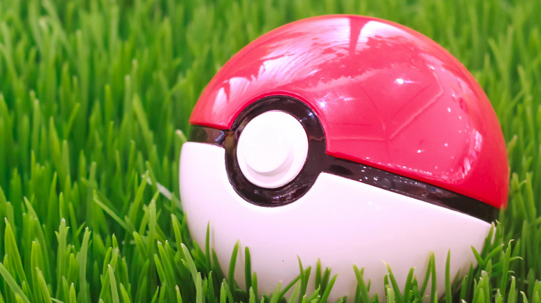 PokeBall toy in grass