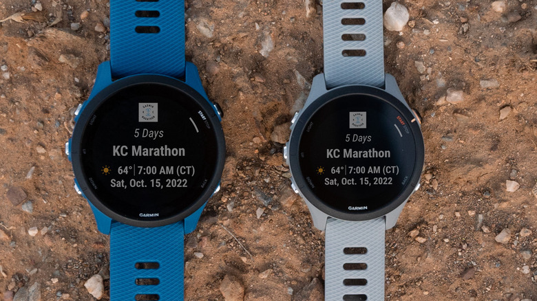 Garmin Forerunner 255 with blue strap