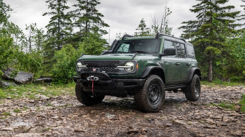 Ford Bronco Everglades on a forest trail