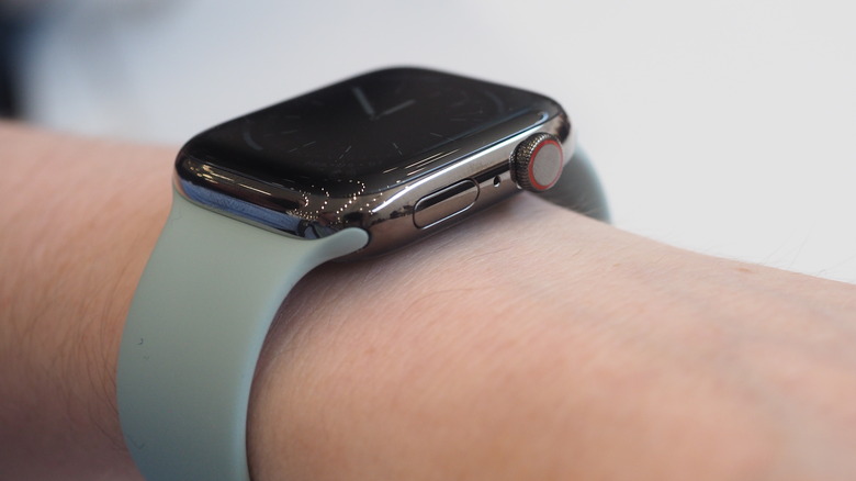 Apple Watch S8 on wrist