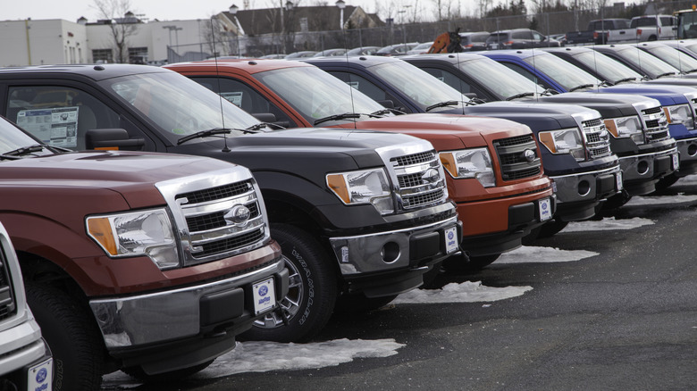 Ford F-150 trucks parked in row