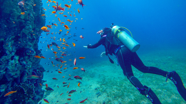 Diver with fish