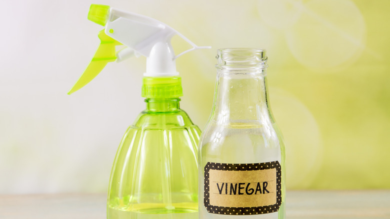 vinegar and spray bottle