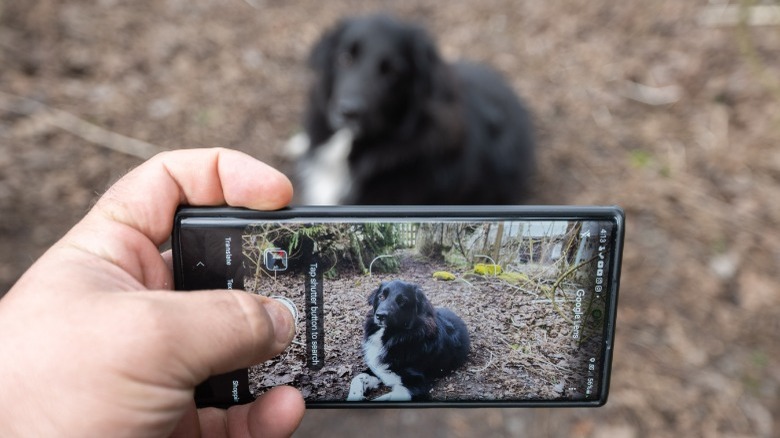 Google Lens being used on android phone