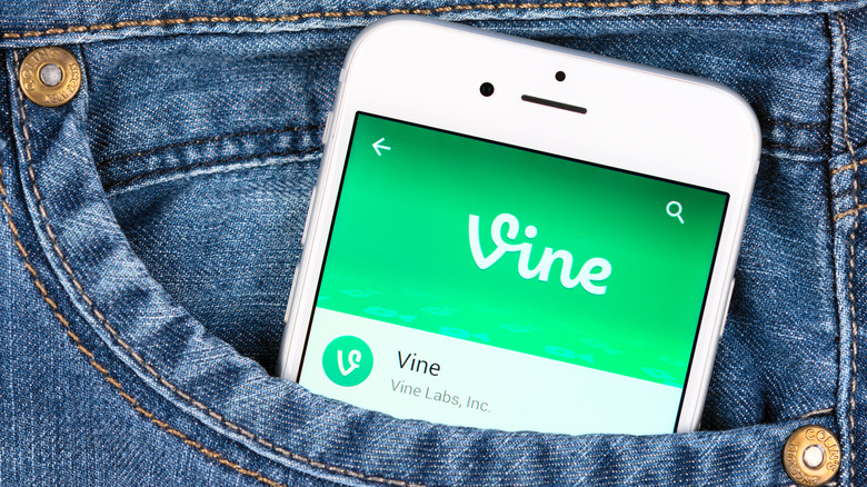 Vine app on phone screen in pocket