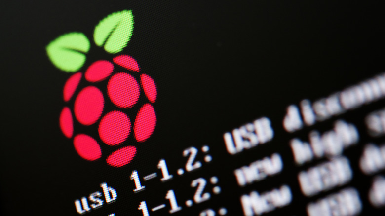 Raspberry Pi logo during boot-up