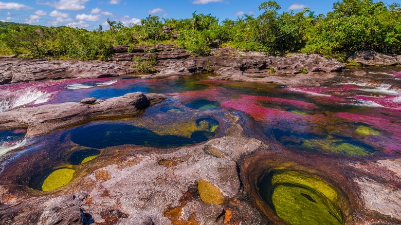 circular rock pools Caño Cristales