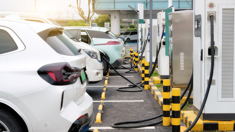 Row of electric cars parked next to each other charging at stations