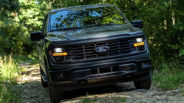 Ford F-150 STX On Off-Road Forest Trail