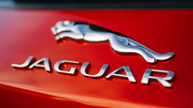 jaguar logo on car