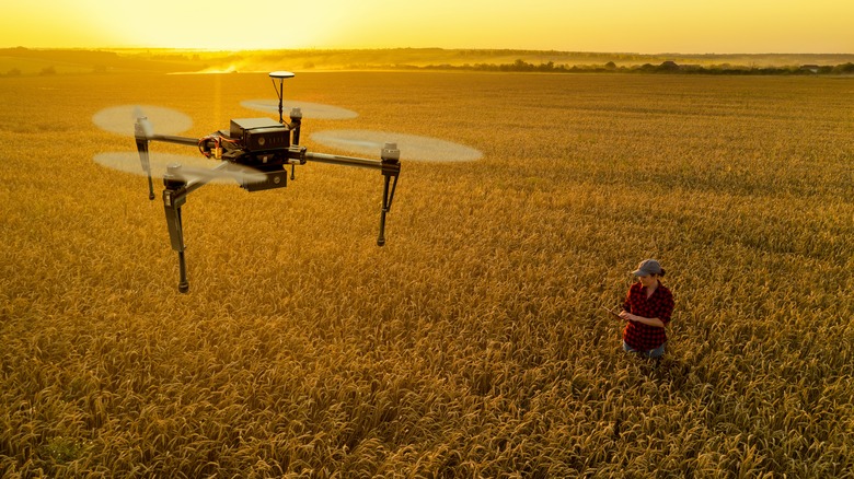 woman piloting drone over field
