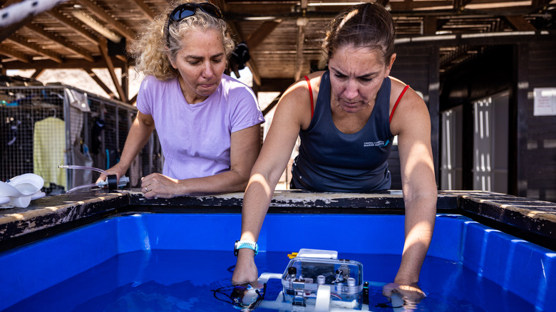 women waterproofing a drone