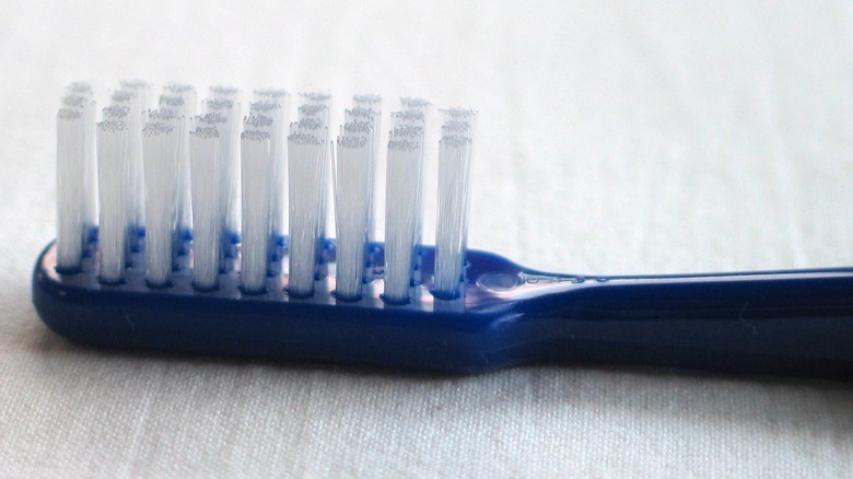 closeup of toothbrush head