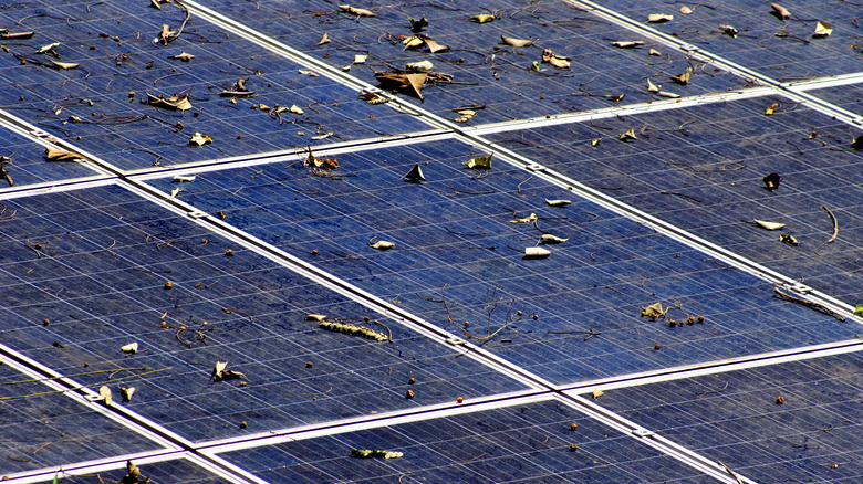 solar panels with dirt and leaves