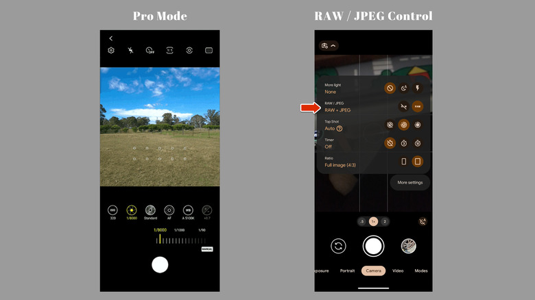 Screenshot of the Pro Mode and RAW control on Android