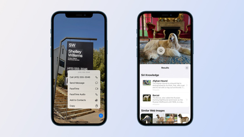 Live Text and Visual Lookup in Photos on iOS 15